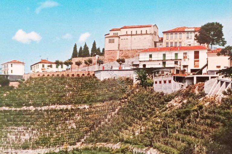 Cartolina - Camo ( Cuneo ) - Panorama - 1994