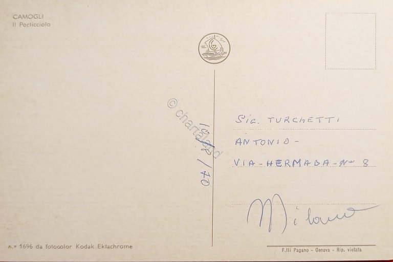 Cartolina - Camogli - Il Porticciolo - 1970