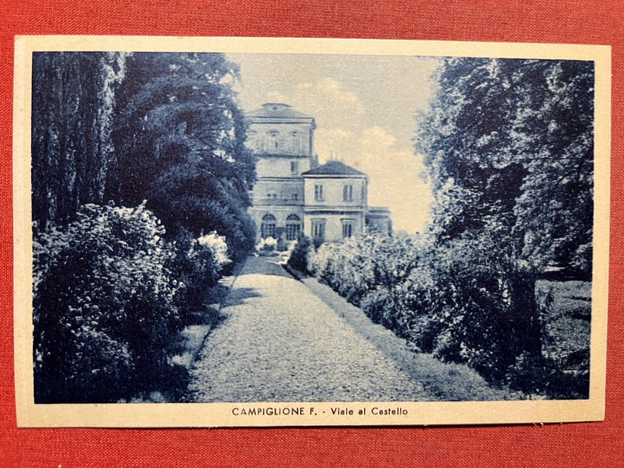 Cartolina - Campiglione-fenile ( Torino ) - Viale al Castello …