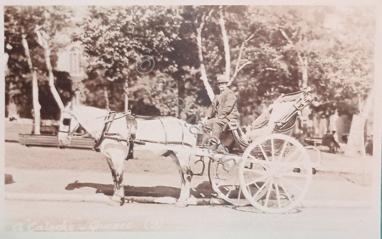 Cartolina - Canada - A Caleche - Quebec - 1900 …