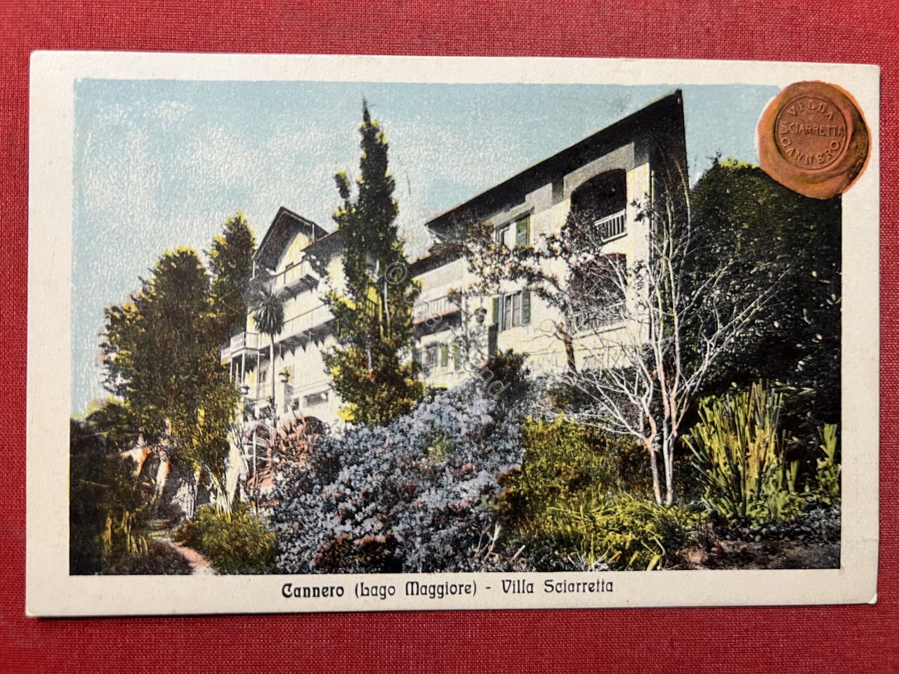 Cartolina - Cannero ( Lago Maggiore ) - Villa Sciarretta …