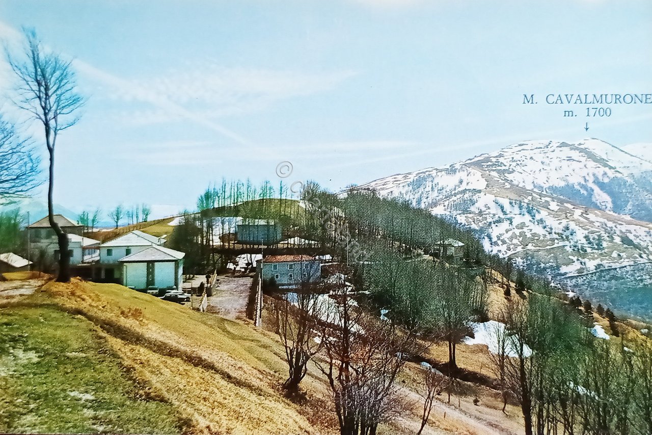 Cartolina - Capanne di Cosola - Panorama - 1965 ca.