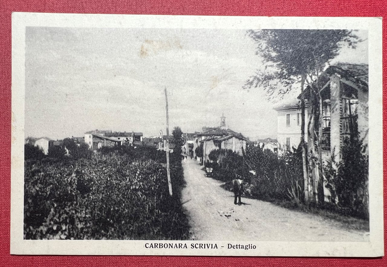 Cartolina - Carbonara Scrivia - Dettaglio - 1920 ca.