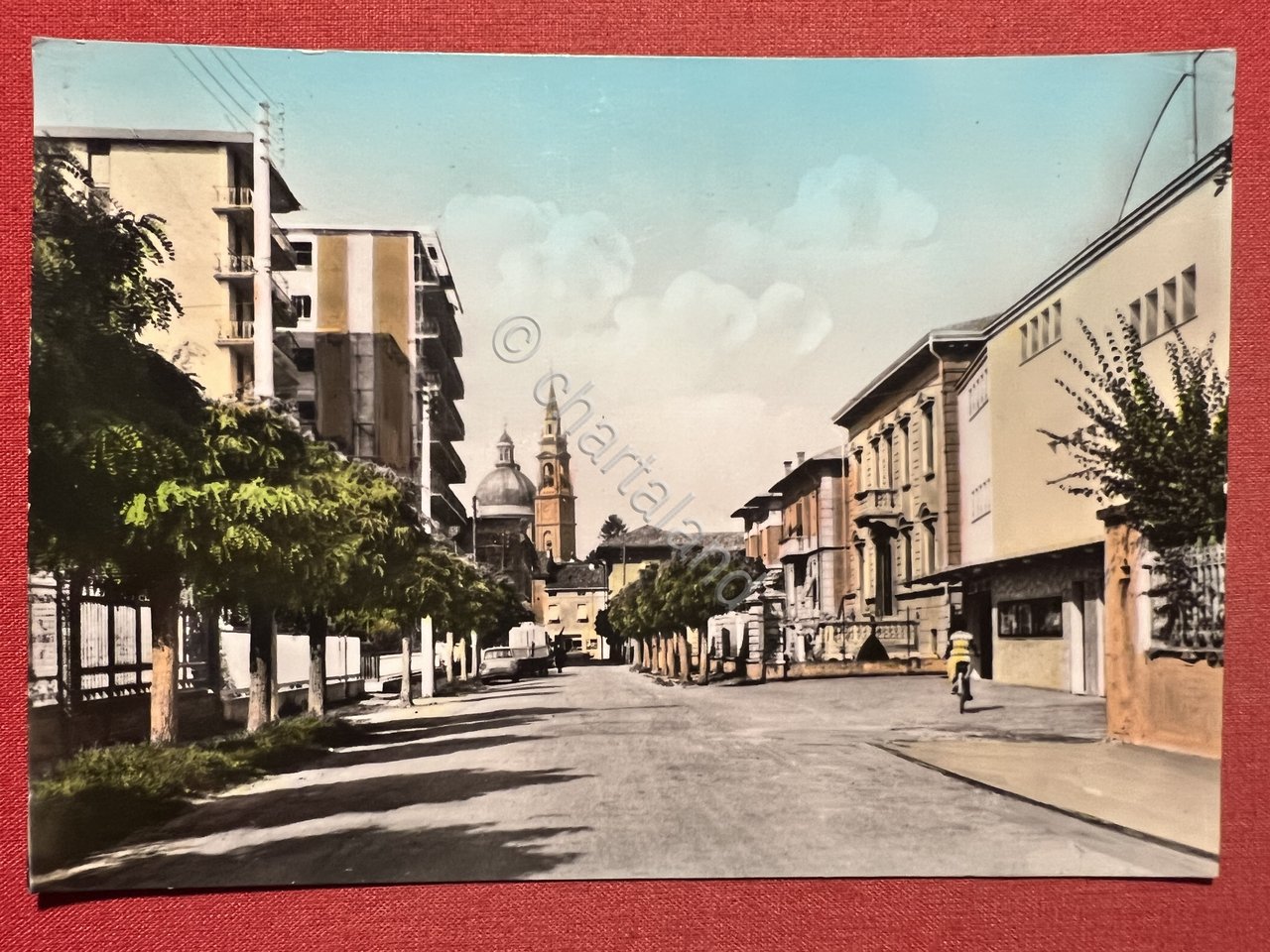 Cartolina - Casalmaggiore ( Cremona ) - Via Martelli - …