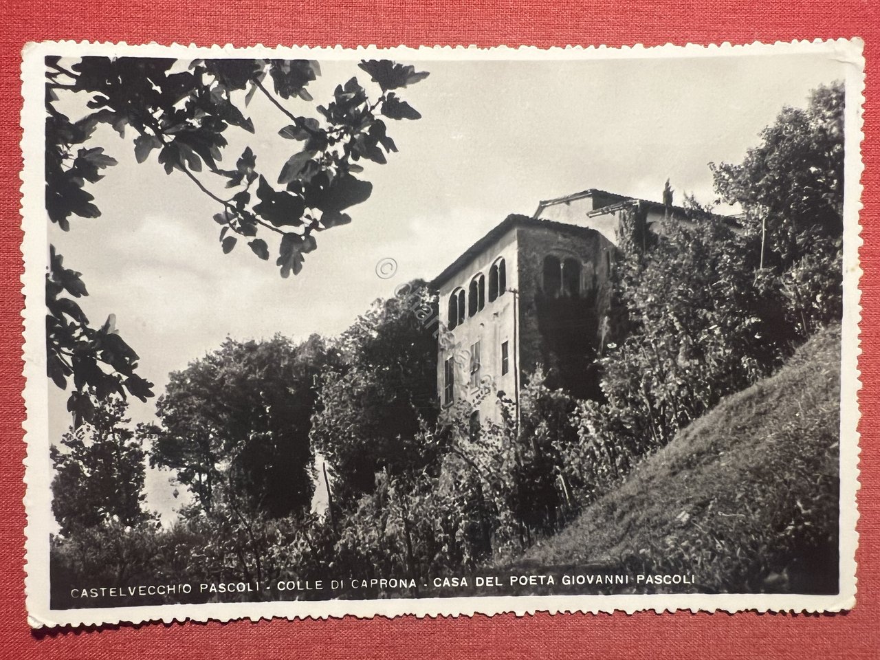 Cartolina - Castelvecchio Pascoli - Colle di Caprona - Casa …