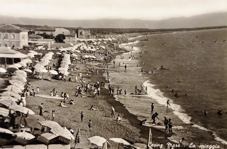 Cartolina - Cecina Mare - La Spiaggia - 1956