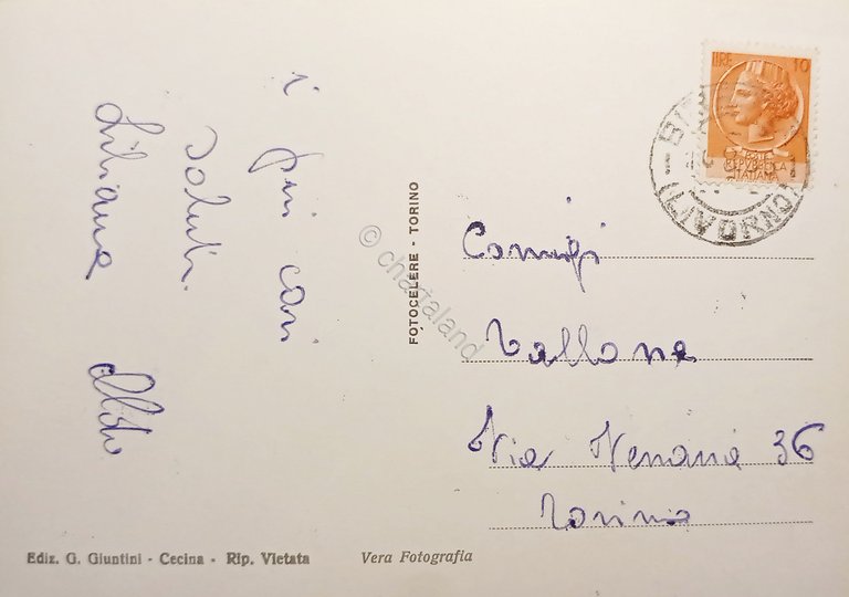 Cartolina - Cecina Mare - La Spiaggia - 1956