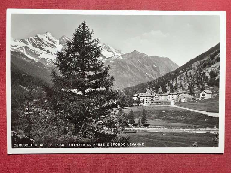 Cartolina - Ceresole Reale ( Torino ) - Entrata al …