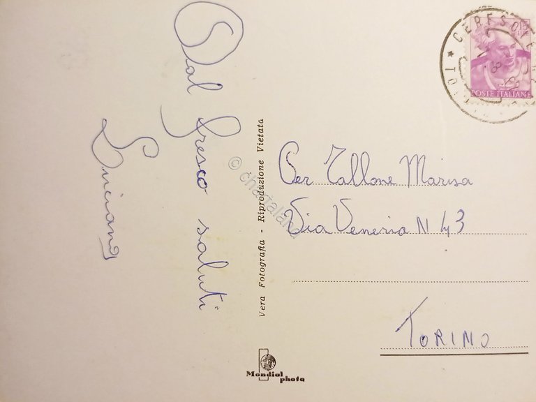 Cartolina - Ceresole Reale ( Torino ) - Panorama - …