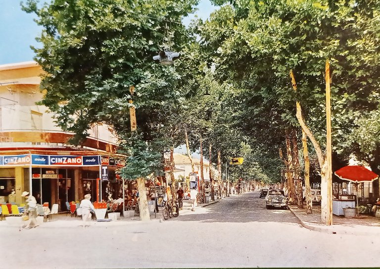 Cartolina - Cervia - Viale Cristoforo Colombo - 1965