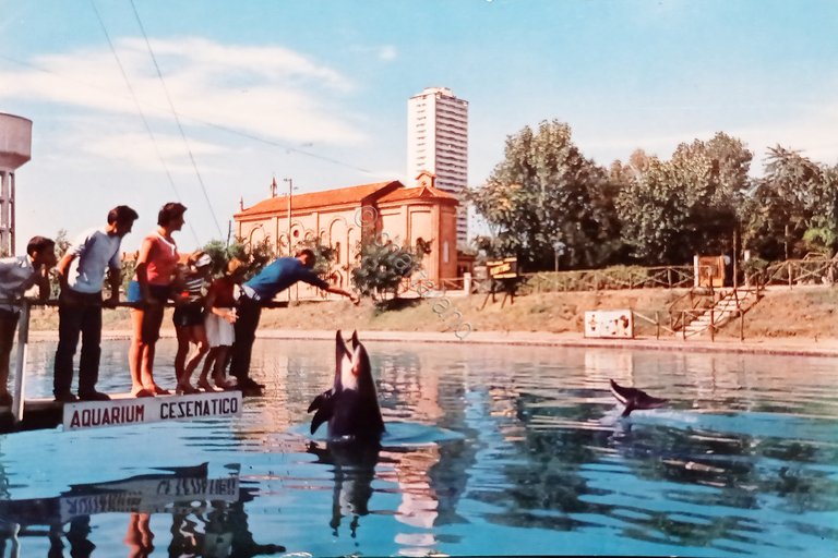 Cartolina - Cesenatico - Aquarium dei delfini - 1964