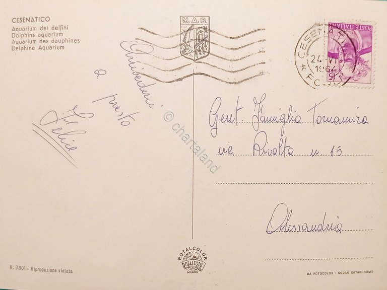 Cartolina - Cesenatico - Aquarium dei delfini - 1964