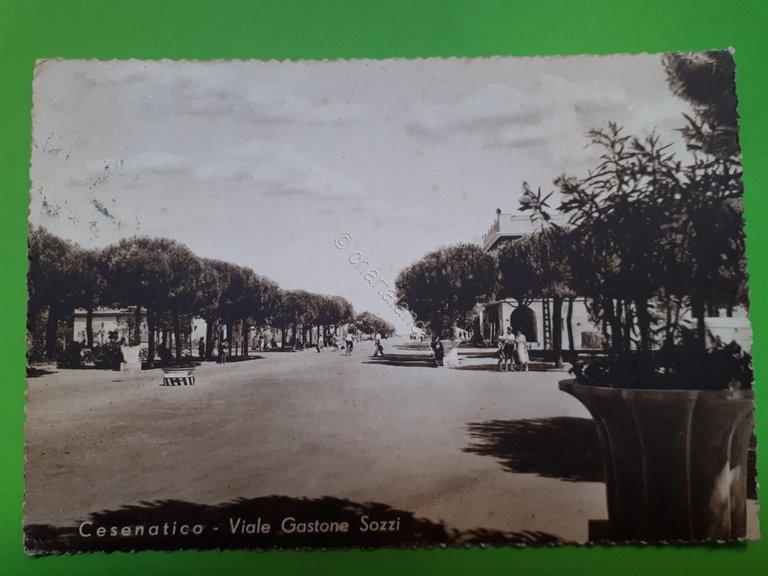 Cartolina - Cesenatico - Viale Gastone Sozzi - 1952