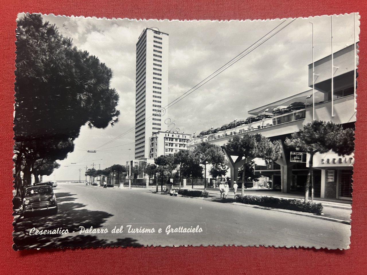 Cartolina - Cesenatico ( Forlì-Cesena ) - Palazzo del Turismo …