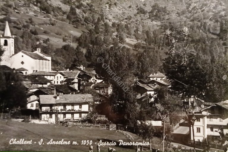 Cartolina - Challant - S. Anselme - Scorcio Panoramico - …