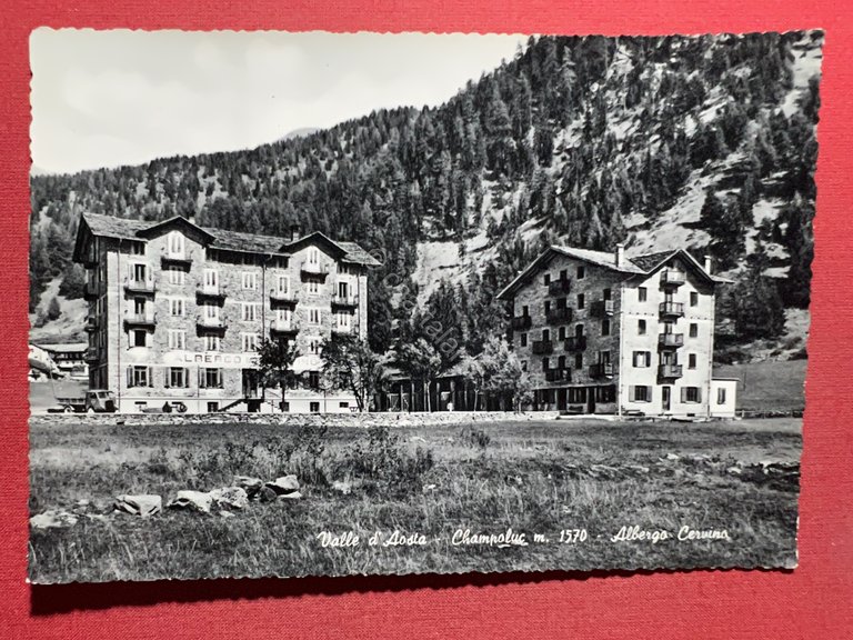 Cartolina - Champoluc (Valle d'Aosta) - Albergo Cervino - 1955 …