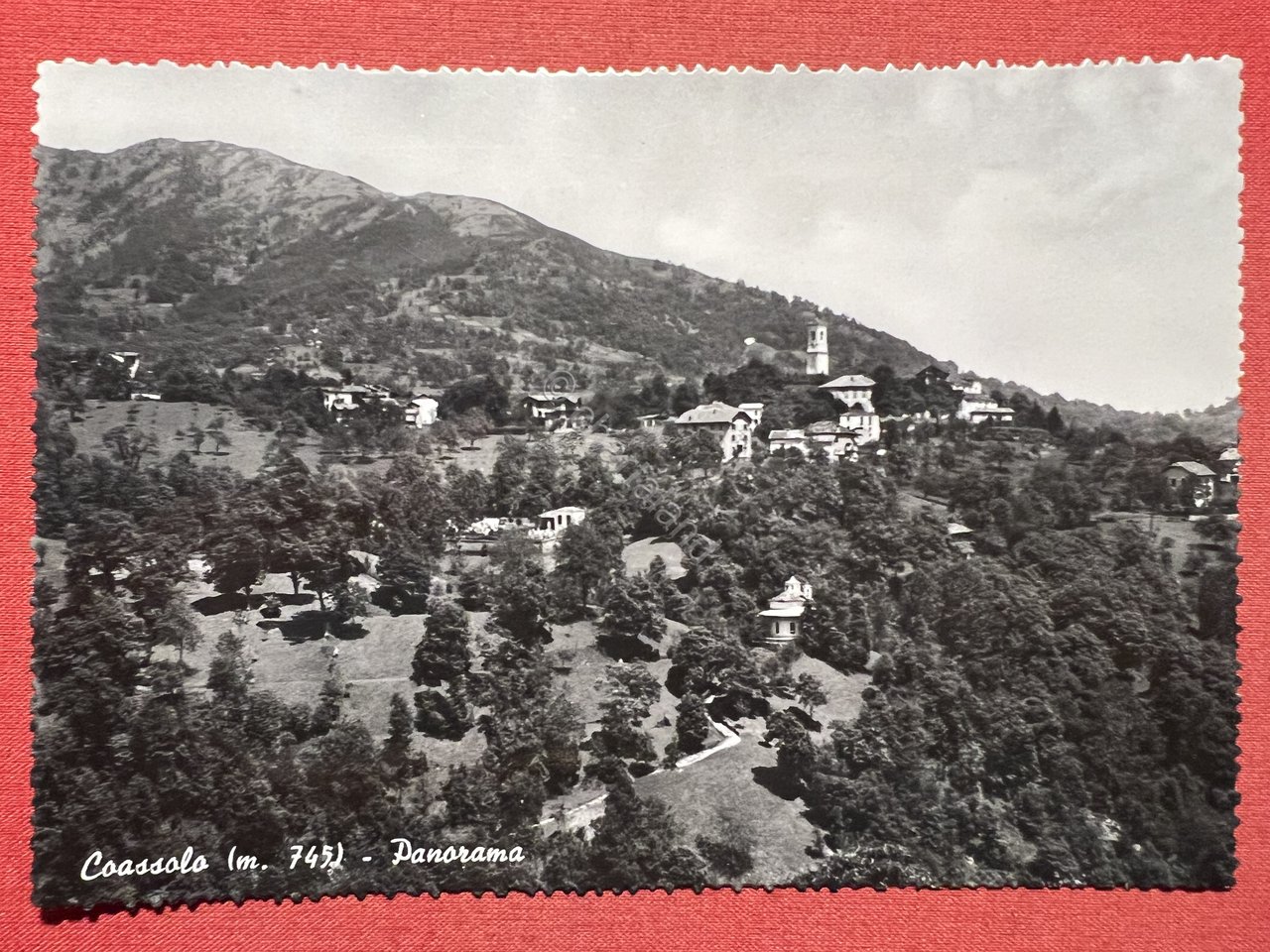 Cartolina - Coassolo ( Torino ) - Panorama - 1956