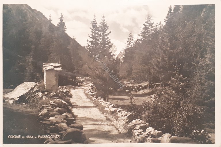 Cartolina - Cogne - Passeggiata - 1947