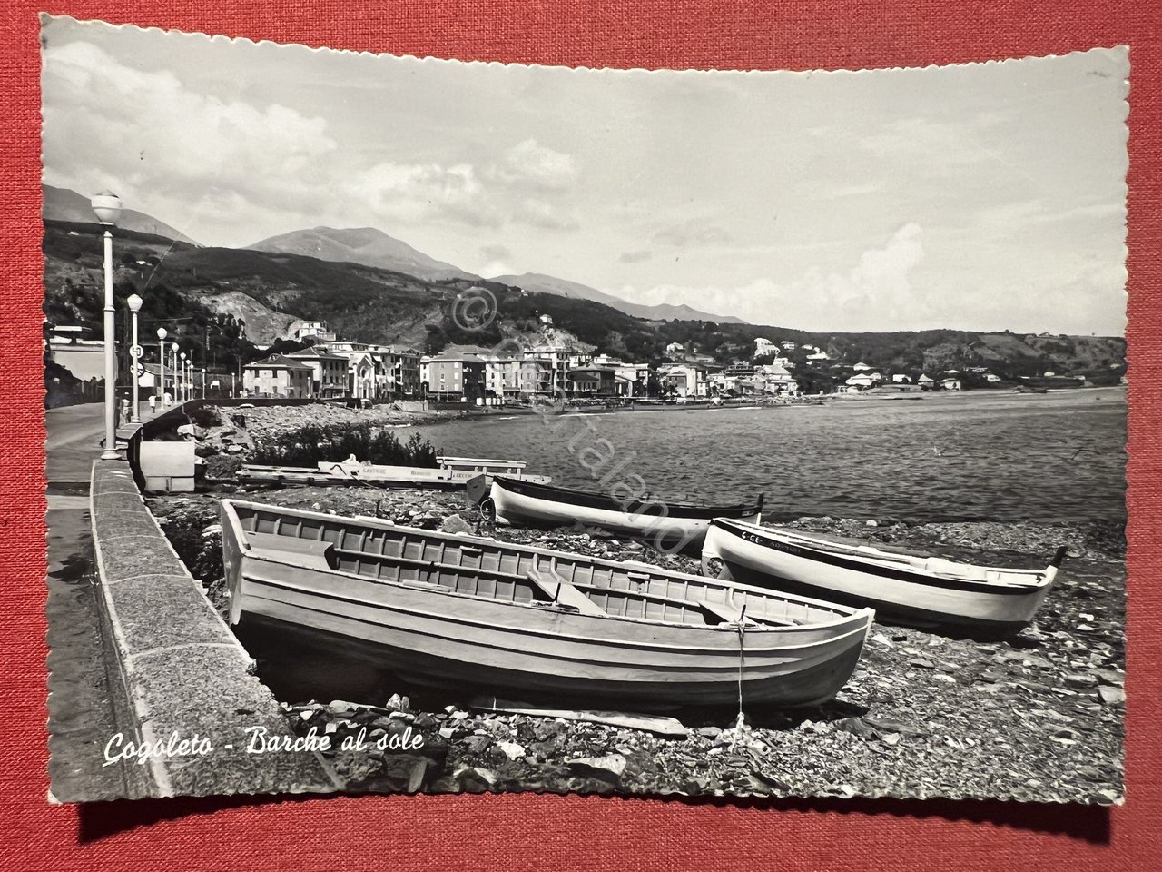 Cartolina - Cogoleto - Barche al Sole - 1953