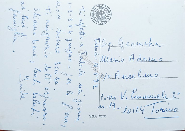 Cartolina - Colli Euganei ( Padova ) - 1972