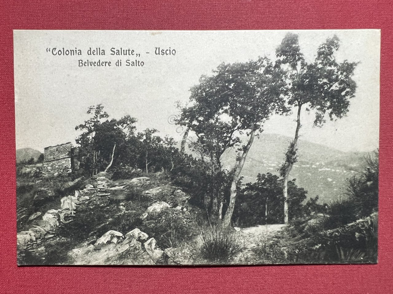 Cartolina - Colonia della Salute - Uscio - Belvedere di …