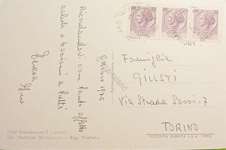 Cartolina - Corsagna ( Lucca ) - Panorama - 1975