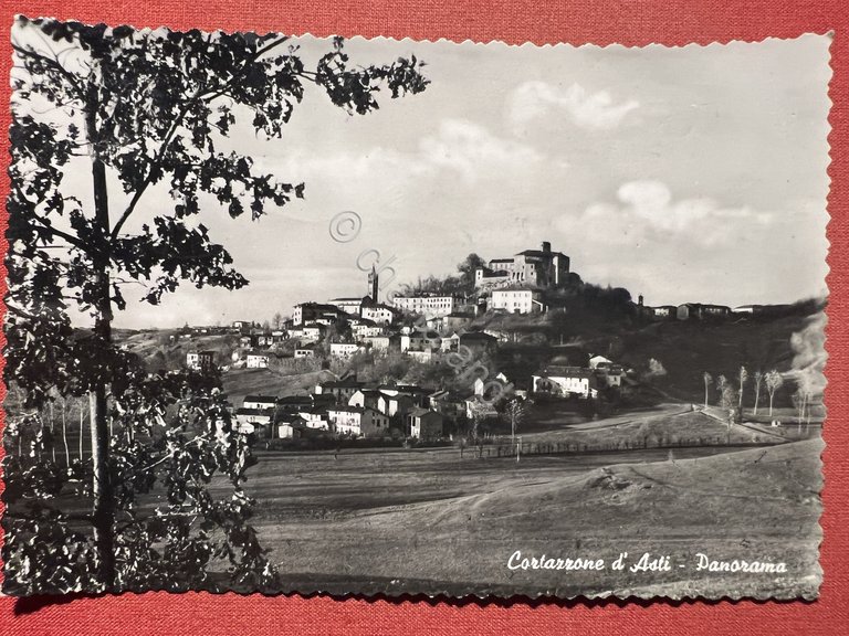 Cartolina - Cortazzone d'Asti - Panorama - 19574 | Immagine Gallery 1