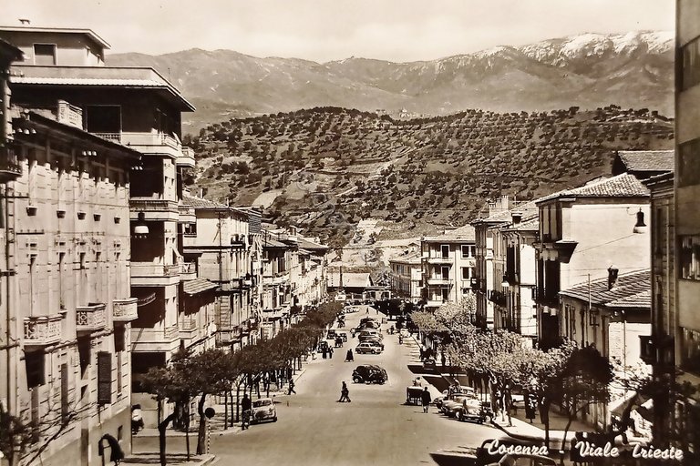Cartolina - Cosenza - Viale Trieste - 1960 ca.