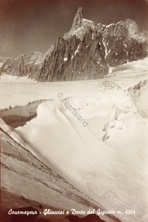 Cartolina - Courmayeur - Ghiacciai e Dente del Gigante - … | Immagine Gallery 4