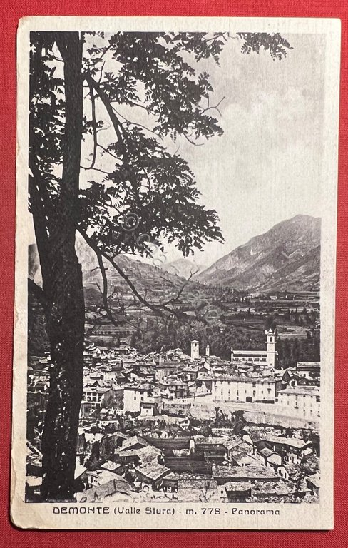 Cartolina - Demonte ( Valle Stura ) - Panorama - …