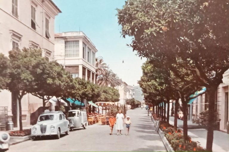 Cartolina - Diano Marina - Il Viale degli Aranci ( …