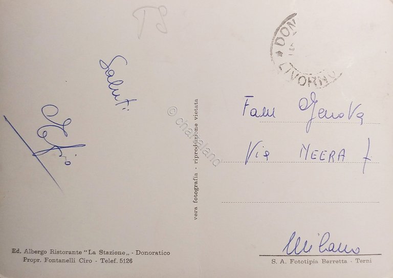 Cartolina - Donoratico Mare - Ville Della Gherardesca - 1955 …