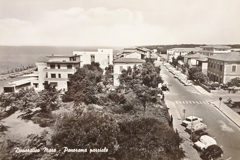 Cartolina - Donoratico Mare ( Livorno ) - Panorama parziale …