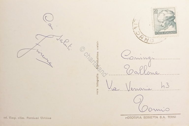 Cartolina - Donoratico Mare ( Livorno ) - Panorama parziale …