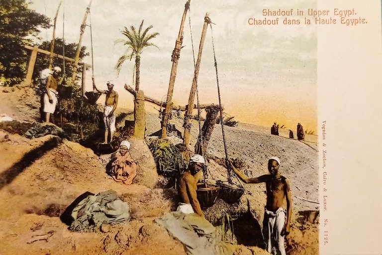 Cartolina - Egitto - Shadouf in Upper Egypt - 1910 …