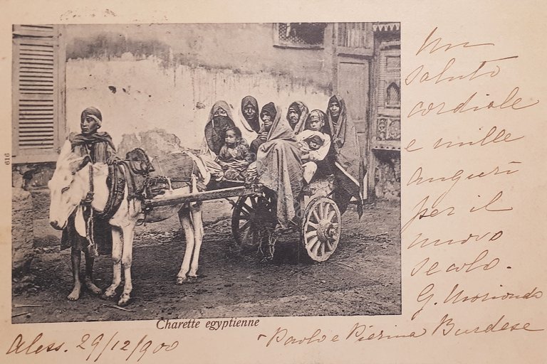 Cartolina - Egypte - Charette egyptienne - 1900