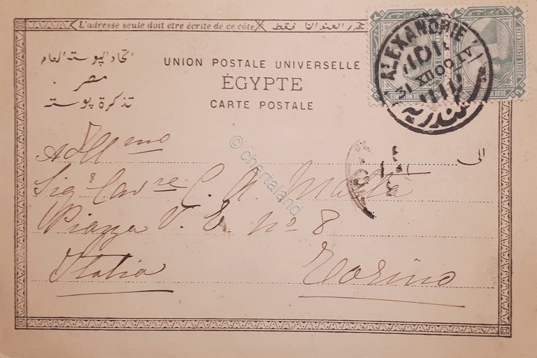 Cartolina - Egypte - Charette egyptienne - 1900