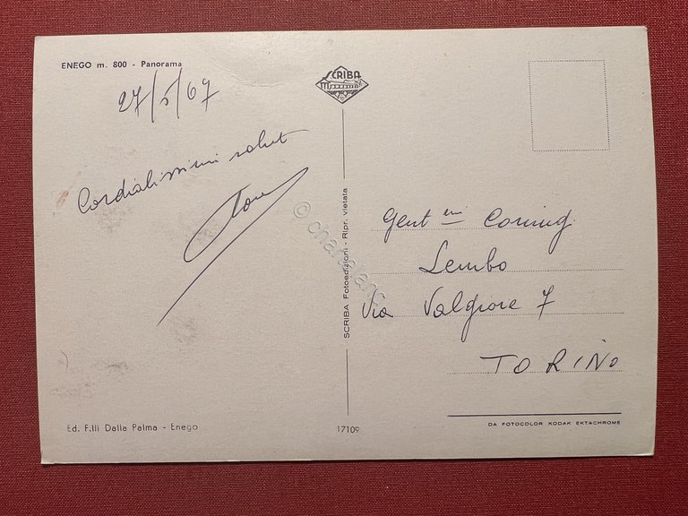 Cartolina - Enego ( Vicenza ) - Panorama - 1967