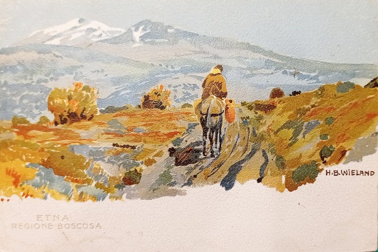Cartolina - Etna - Regione Boscosa - Illustratore H. B. …