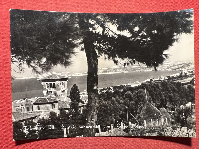 Cartolina - Falconara Marittima - Scorcio Panoramico con il Golfo … | Immagine Gallery 1