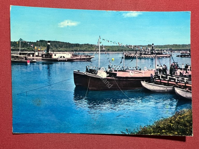 Cartolina - Festa sul Po - Pianura Reggiana con Mantovana … | Immagine Gallery 3