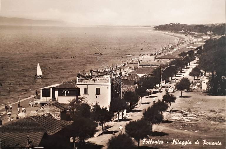 Cartolina - Follonica - Spiaggia di Ponente - 1951