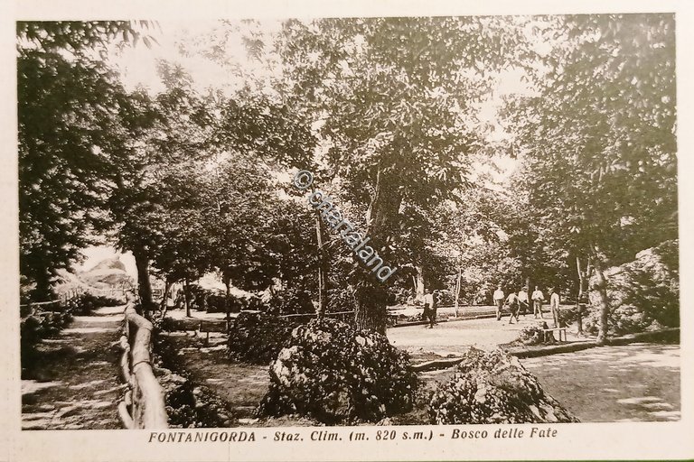 Cartolina - Fontanigorda - Stazione Climatica - Bosco delle Fate …