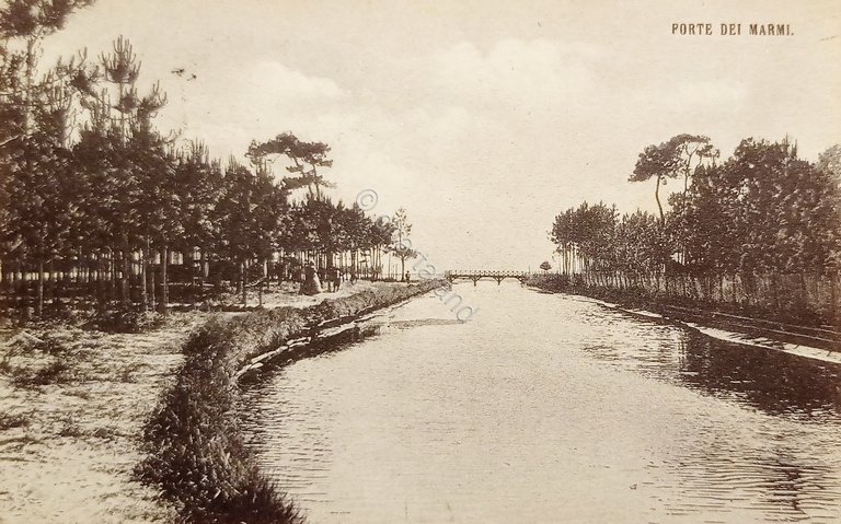 Cartolina - Forte dei Marmi - Panorama - 1908