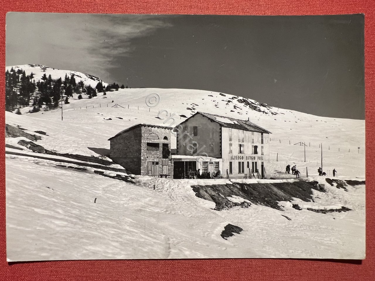 Cartolina - Frabosa - Albergo Rifugio Prel - 1956