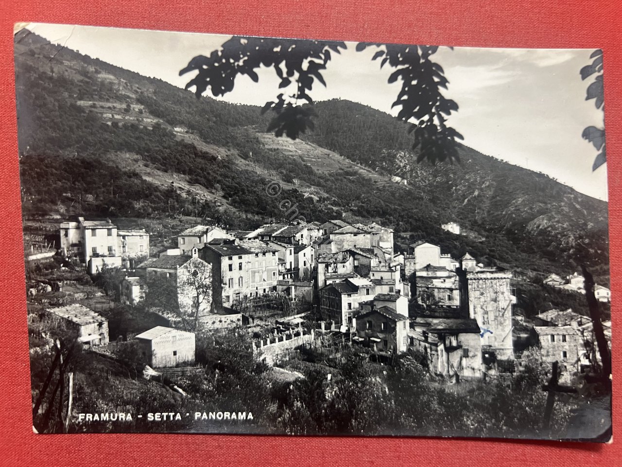 Cartolina - Framura Setta ( La Spezia ) - Panorama …