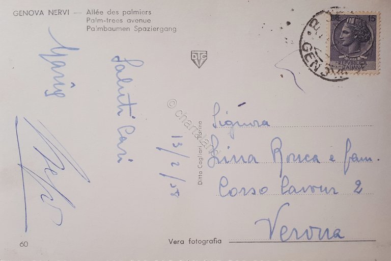 Cartolina - Genova Nervi - Viale delle Palme - 1958