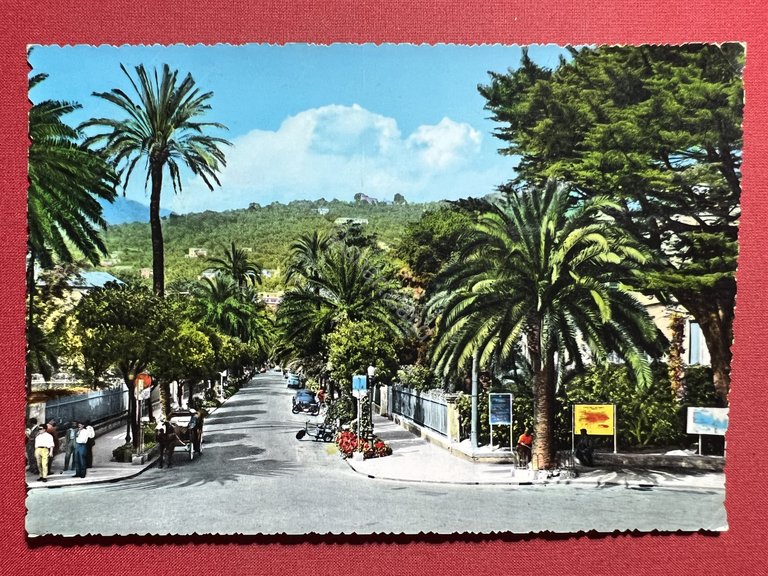 Cartolina - Genova Nervi - Viale delle Palme - 1960