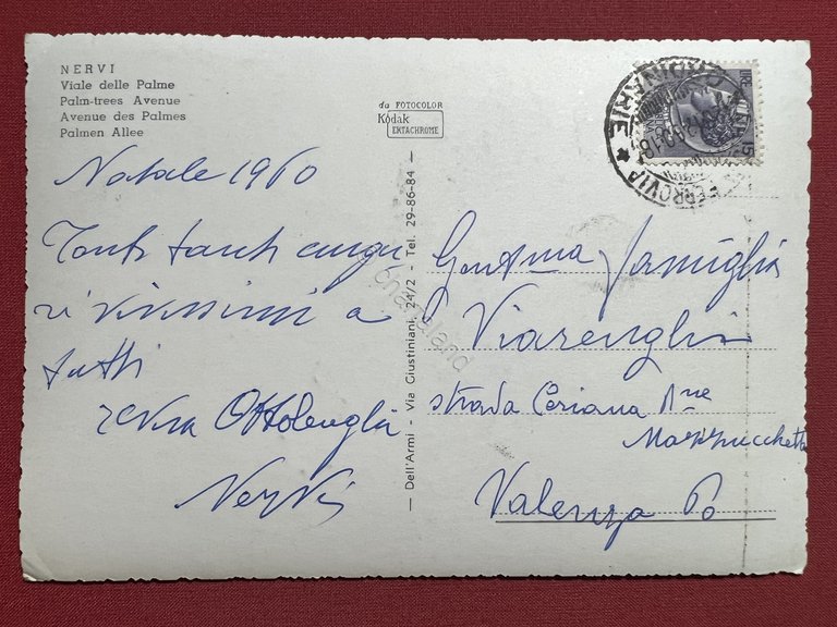 Cartolina - Genova Nervi - Viale delle Palme - 1960