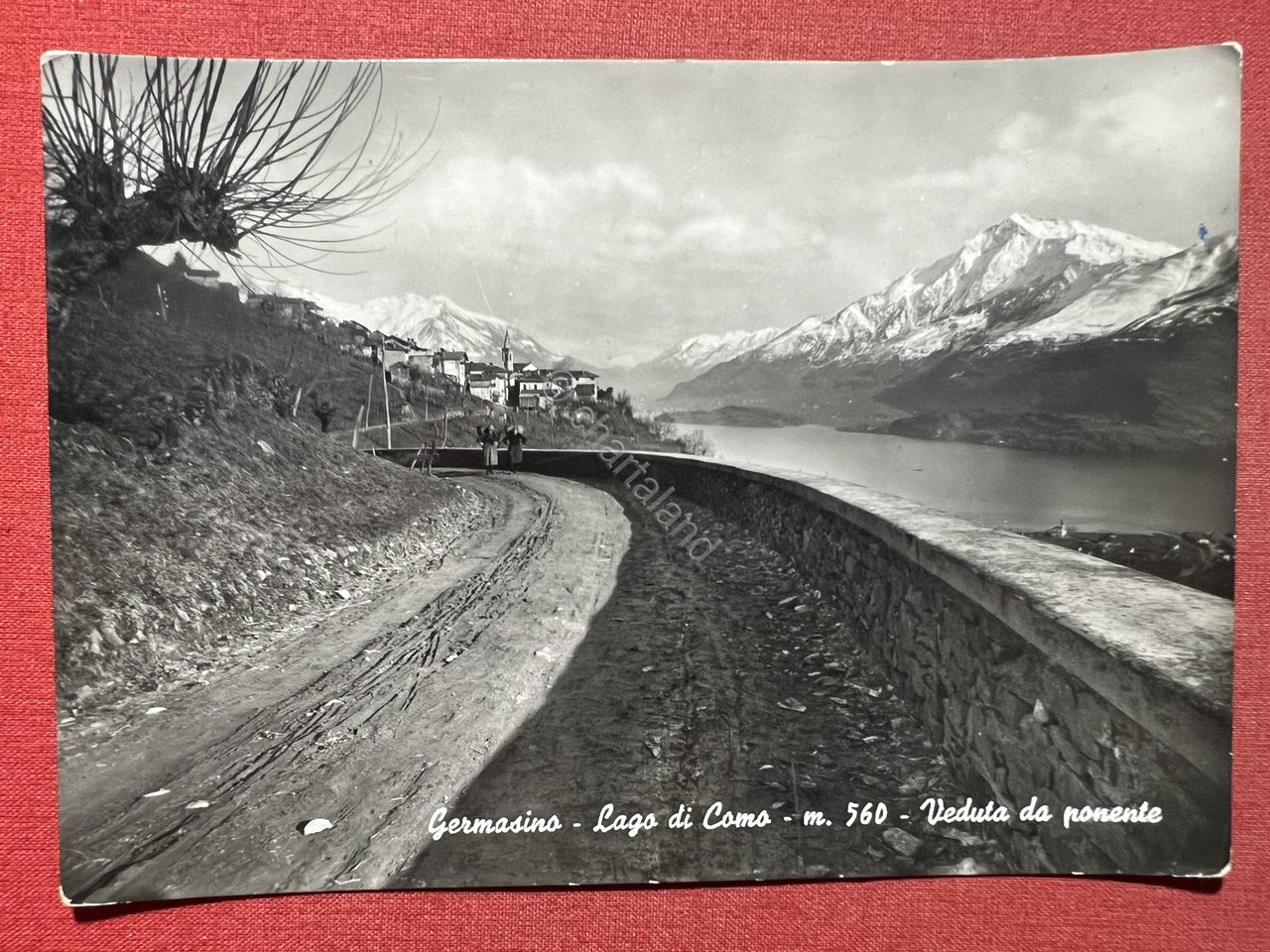 Cartolina - Germasino - Lago di Como - Veduta da …